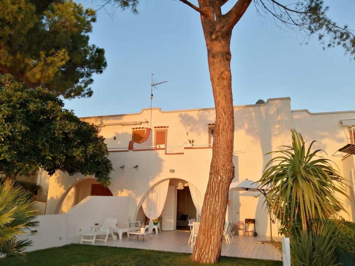 Villa A Diamante Sulla Spiaggia Belvedere Marittimo Exteriér fotografie